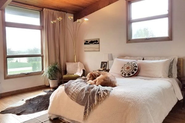mid century modern bedroom with dog on bed house plant arch lamp